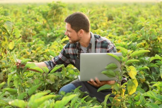 Carlos Eduardo Moraes Nunes