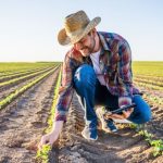 Agenor Vicente Pelissa