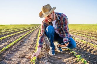 Agenor Vicente Pelissa