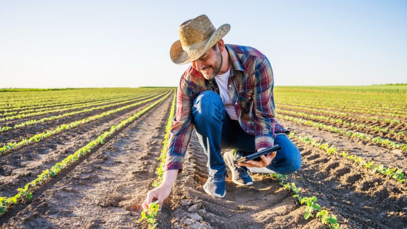 Agenor Vicente Pelissa