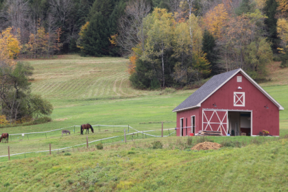Alexandre Victor De Carvalho explica quando a Justiça pode impedir a escritura de um imóvel rural menor que o módulo legal.