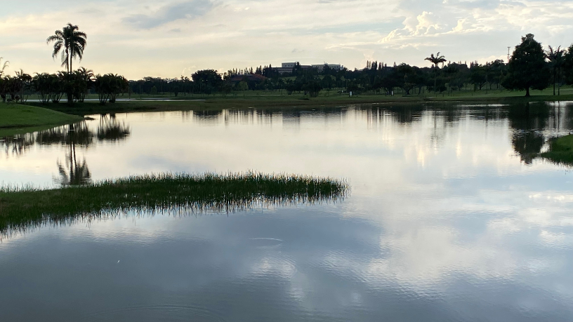O golfe brasileiro vive um momento de expansão e valorização, aponta Dr. Milton Seigi Hayashi.