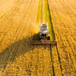 João Eustáquio De Almeida Junior analisa como a agricultura impacta diretamente o preço dos alimentos e o que isso significa para consumidores e mercados.