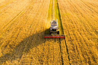 João Eustáquio De Almeida Junior analisa como a agricultura impacta diretamente o preço dos alimentos e o que isso significa para consumidores e mercados.