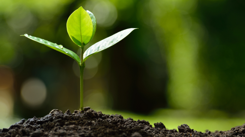 Entenda, com João Eustáquio De Almeida Junior, de que forma a produção agrícola influencia os custos dos alimentos do campo até a mesa.